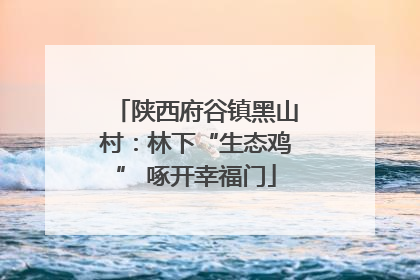 陕西府谷镇黑山村：林下“生态鸡” 啄开幸福门