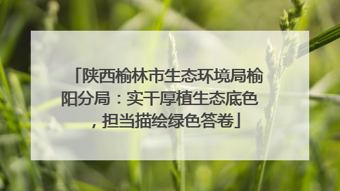 陕西榆林市生态环境局榆阳分局：实干厚植生态底色，担当描绘绿色答卷