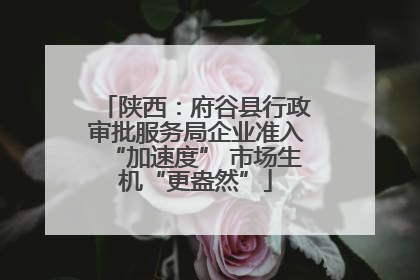 陕西：府谷县行政审批服务局企业准入“加速度” 市场生机“更盎然”