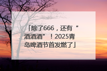 除了666，还有“酒酒酒”！2025青岛啤酒节首发燃了