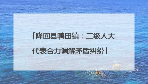 隆回县鸭田镇：三级人大代表合力调解矛盾纠纷