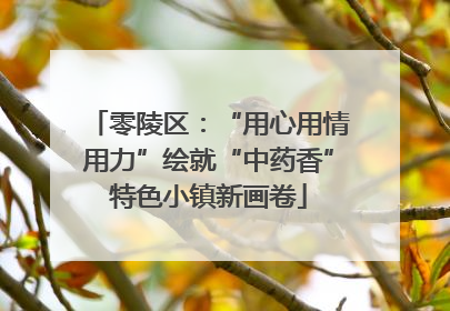 零陵区：“用心用情用力”绘就“中药香”特色小镇新画卷