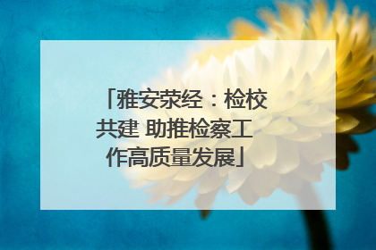 雅安荥经：检校共建 助推检察工作高质量发展