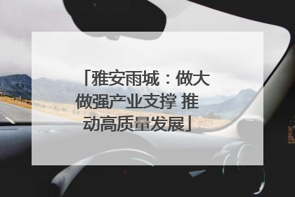 雅安雨城：做大做强产业支撑 推动高质量发展