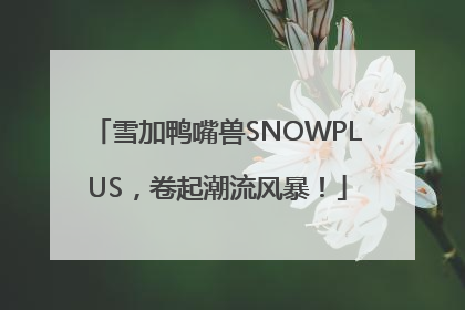 雪加鸭嘴兽SNOWPLUS，卷起潮流风暴！