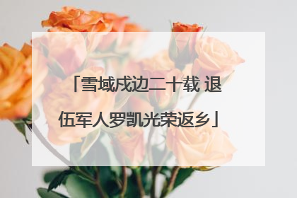 雪域戍边二十载 退伍军人罗凯光荣返乡