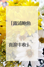 霞浦鲍鱼喜迎丰收