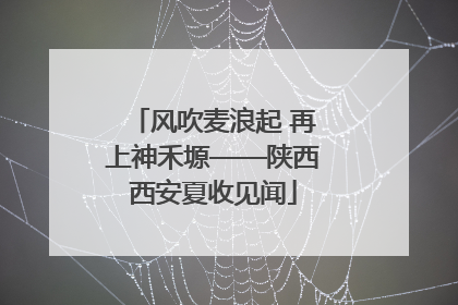 风吹麦浪起 再上神禾塬——陕西西安夏收见闻