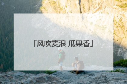 风吹麦浪 瓜果香