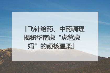 飞针给药、中药调理 揭秘华南虎“虎爸虎妈”的硬核温柔