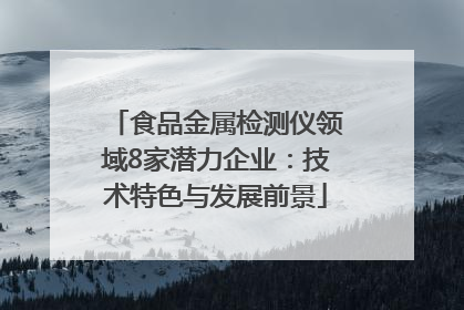 食品金属检测仪领域8家潜力企业：技术特色与发展前景