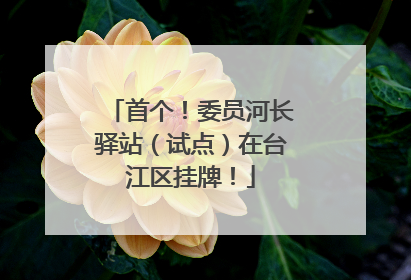 首个！委员河长驿站（试点）在台江区挂牌！