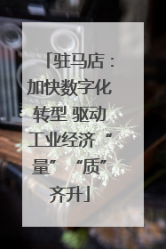驻马店：加快数字化转型 驱动工业经济“量”“质”齐升
