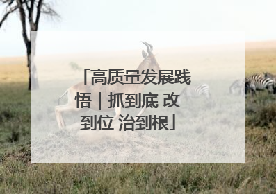 高质量发展践悟｜抓到底 改到位 治到根