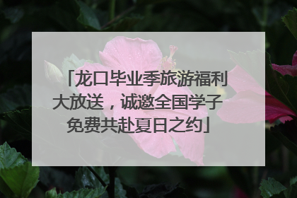 龙口毕业季旅游福利大放送，诚邀全国学子免费共赴夏日之约