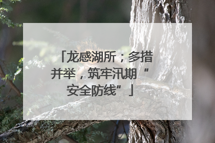 龙感湖所；多措并举，筑牢汛期“安全防线”