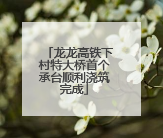 龙龙高铁下村特大桥首个承台顺利浇筑完成