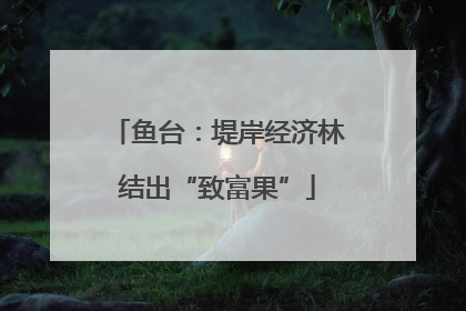 鱼台：堤岸经济林结出“致富果”