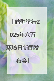 鹤壁举行2025年六五环境日新闻发布会