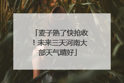 麦子熟了快抢收！未来三天河南大部天气晴好