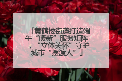 黄鹤楼街道打造端午“暖新”服务矩阵，“立体关怀”守护城市“摆渡人”