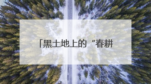 黑土地上的“春耕芯片”：“吉科稻518”的育种传奇