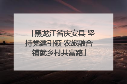 黑龙江省庆安县 坚持党建引领 农旅融合铺就乡村共富路