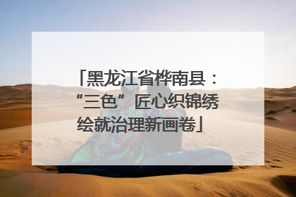 黑龙江省桦南县：“三色”匠心织锦绣 绘就治理新画卷