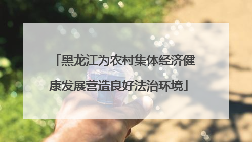 黑龙江为农村集体经济健康发展营造良好法治环境