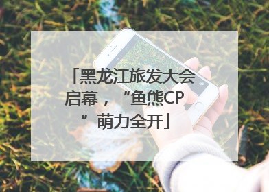 黑龙江旅发大会启幕，“鱼熊CP”萌力全开