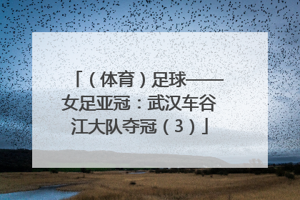 （体育）足球——女足亚冠：武汉车谷江大队夺冠（3）