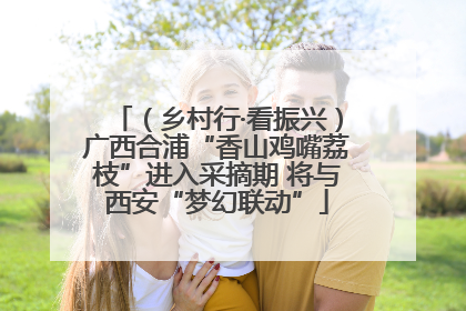 （乡村行·看振兴）广西合浦“香山鸡嘴荔枝”进入采摘期 将与西安“梦幻联动”