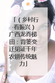 （乡村行·看振兴）广西龙脊梯田：背篓变迁见证千年农耕传统魅力