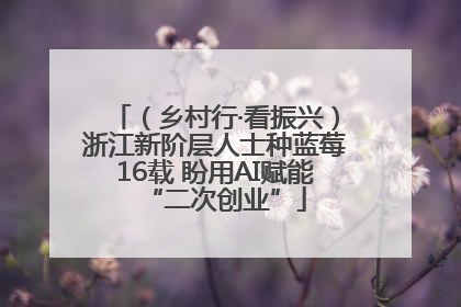 （乡村行·看振兴）浙江新阶层人士种蓝莓16载 盼用AI赋能“二次创业”
