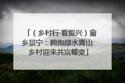 （乡村行·看振兴）畲乡景宁：拥抱绿水青山 乡村迎来共富蝶变