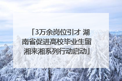 3万余岗位引才 湖南省促进高校毕业生留湘来湘系列行动启动