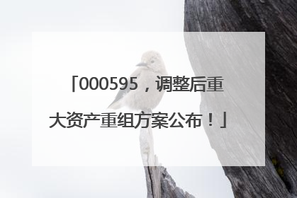 000595，调整后重大资产重组方案公布！