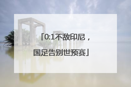 0:1不敌印尼，国足告别世预赛
