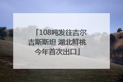 108吨发往吉尔吉斯斯坦 湖北鲜桃今年首次出口