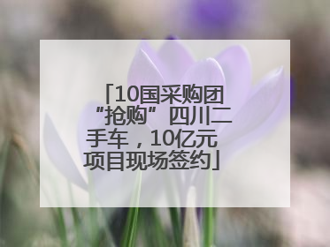 10国采购团“抢购”四川二手车，10亿元项目现场签约