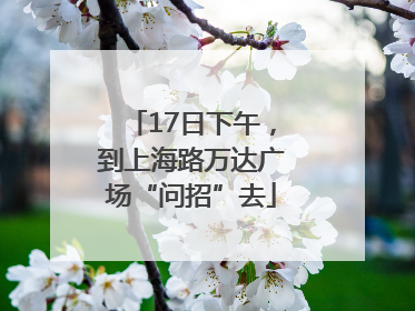 17日下午，到上海路万达广场“问招”去
