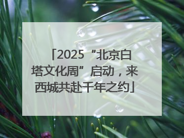 2025“北京白塔文化周”启动，来西城共赴千年之约