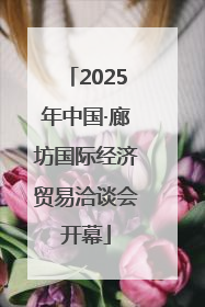 2025年中国·廊坊国际经济贸易洽谈会开幕