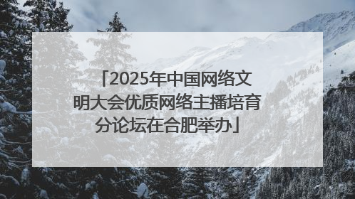 2025年中国网络文明大会优质网络主播培育分论坛在合肥举办
