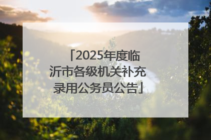 2025年度临沂市各级机关补充录用公务员公告