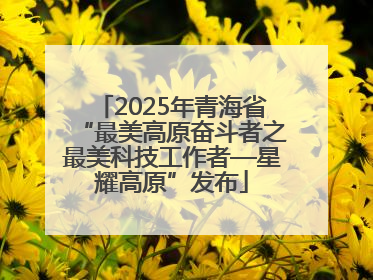 2025年青海省“最美高原奋斗者之最美科技工作者—星耀高原”发布