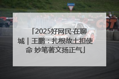 2025好网民·在聊城｜王鹏：扎根故土担使命 妙笔著文扬正气