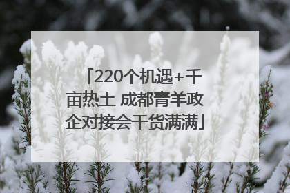 220个机遇+千亩热土 成都青羊政企对接会干货满满