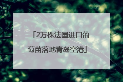 2万株法国进口葡萄苗落地青岛空港