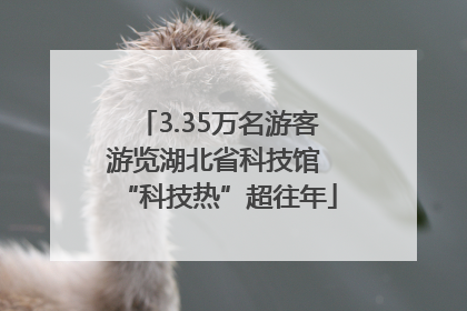 3.35万名游客游览湖北省科技馆 “科技热”超往年